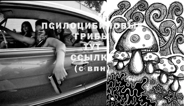 трава Дмитров