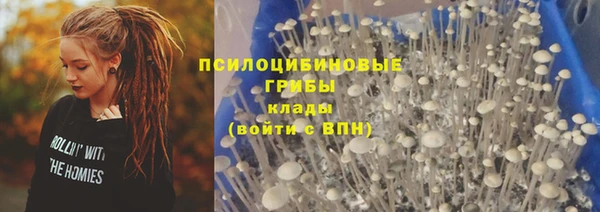 метадон Аркадак
